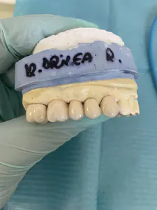 Model de lucru cu coroane, pe care laboratorul a scris „Dr. Drilea R.”