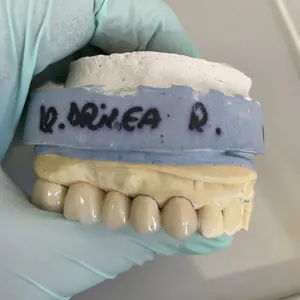 Model de lucru cu numele „Dr. Drilea R.”